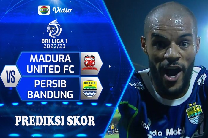 Head to head Persib Bandung vs Malut United dan statistik pemain