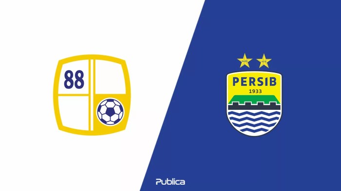 Hasil pertandingan Barito Putera vs Persib Bandung dan sorotan